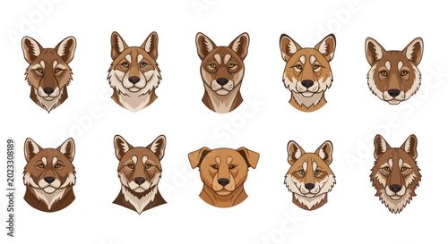 Foto Variety of Canine Faces: Dingoes and Dog Breeds, Stylized Illustration