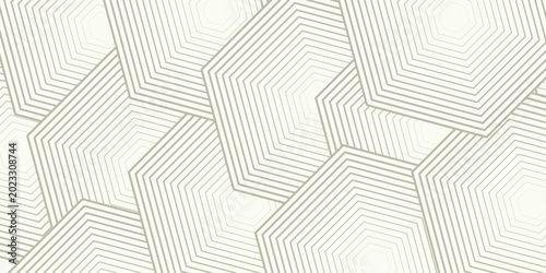 Tableau sur toile Abstract hexagon futuristic brown lines with beige background