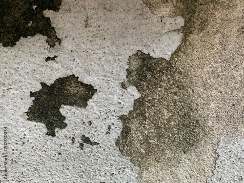 Obraz na płótnie Weathered concrete wall with peeling surface layers, exposed aggregate, and moss