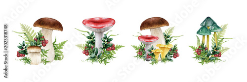 Mushroom png clipart set with boletus, russula and chanterelle. Hand painted forest fungi watercolor illustrations for stickers, packaging and woodland design isolated on transparent background