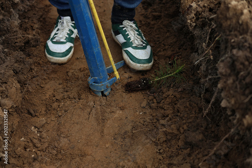 digging in the ground