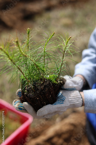 planting a plant