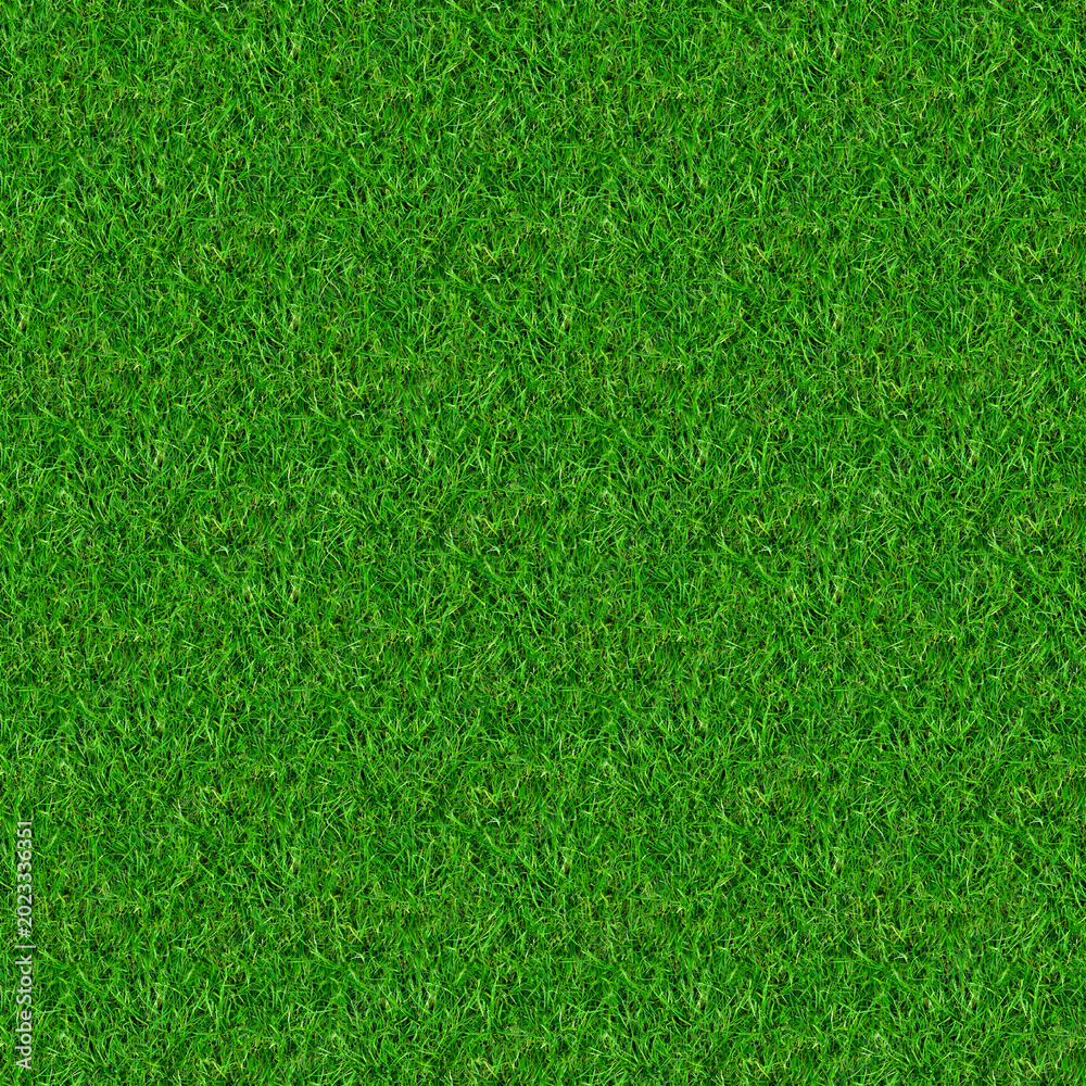Fototapeta premium A clean abstract pattern of natural green grass texture forms a vibrant summer lawn and golf course turf background