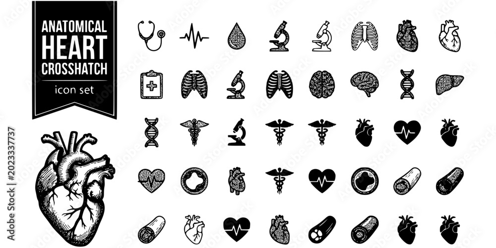 Fototapeta premium Anatomical Heart Crosshatch Black White-Vein Artery Detail-Medical Art Vector-Heart Icon Crosshatch-T-Shirt Print Design Set