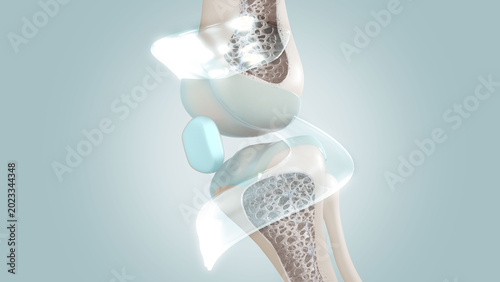 Bild auf Leinwand Osteoporosis, knee maintenance, and prevention of bone degeneration