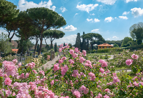 The Rose Garden with Menorah shape walkways at Aventine Hill in Rome