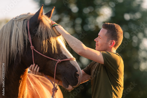 Obraz na plátně Man caring for horse during hippotherapy session on sunny day