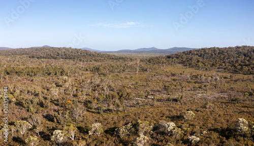 Foto Aerial View of flowering Eucalyptus Trees in Frankland National Park, Walpole, W