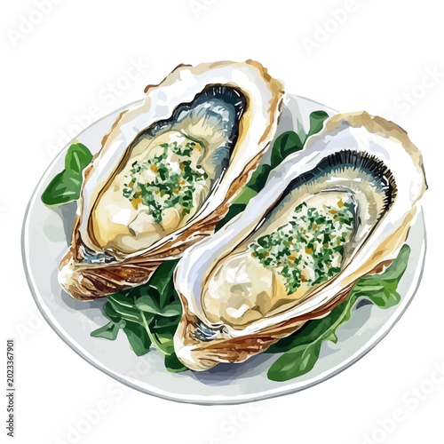 Bild auf Leinwand Oysters Rockefeller, detailed watercolor clipart vector, isolated on a pure white background