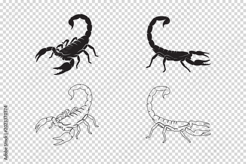Schilderij op canvas Set of scorpion silhouettes and line art illustrations detailed vector graphics