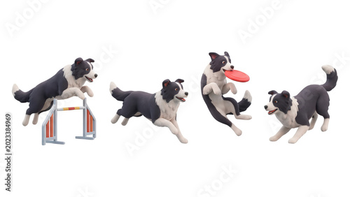 Border Collie dogs performing agility actions isolated on transparent background
