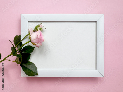 white frame mockup with pink rose on pastel background