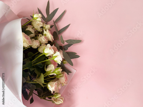 pink roses border on pastel pink background