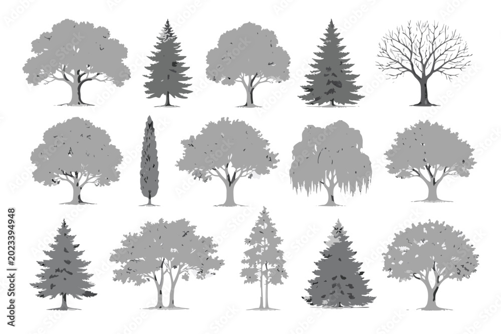 Fototapeta premium Comprehensive collection of diverse grey trees rendered in a detailed stippled style including various deciduous and coniferous shapes perfect for architectural landscaping and forest scenes.