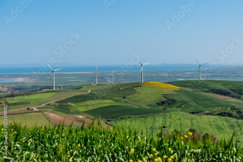 Wind turbines in the extrem north of tunisia