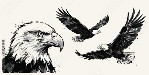 Tableau sur toile Set of vector eagles. Eagle VECTOR black on white