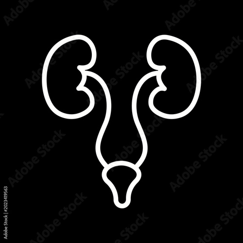 Foto Urinary System Vector Icon