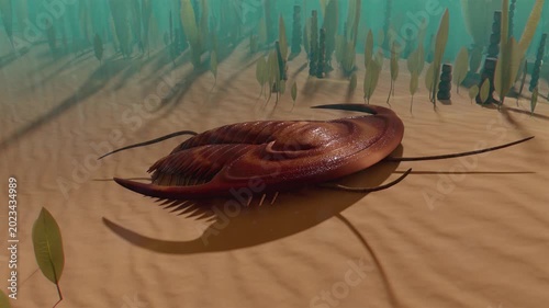 3D animation of a prehistoric trilobite crawling on the ocean floor. Extinct marine arthropod in its natural Paleozoic habitat with underwater plants and sunlight rays. Realistic scientific CGI