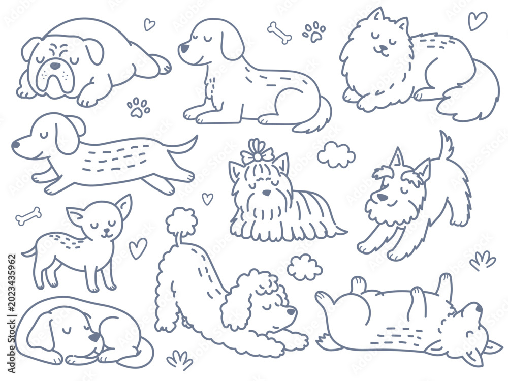 Obraz premium Hand drawn doodle set of various dog breeds including bulldog dachshund poodle chihuahua terrier and corgi resting and playing isolated on white background
