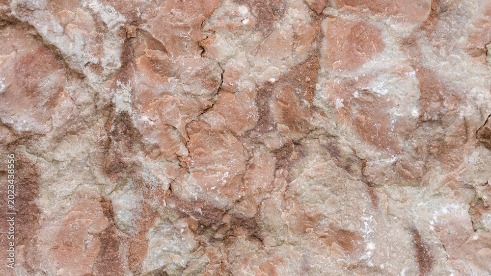 Obraz premium Beautifully textured rock surface featuring natural patterns and earthy tones in a tranquil outdoor setting
