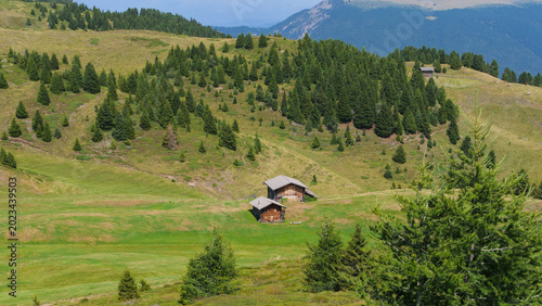 Exploring the serene alpine landscape with rustic cabins nestled among lush meadows and towering evergreens