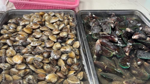 A market display showcases various fresh seafood, including clams and mussels, glistening in water. These delicacies are prepared for sale, offering a glimpse into a bustling Asian fish market.