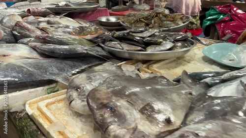 A vibrant close-up shot of a bustling fish market showcasing a diverse array of fresh fish and seafood displayed on ice. The video captures the raw beauty and abundance of the market’s offerings.