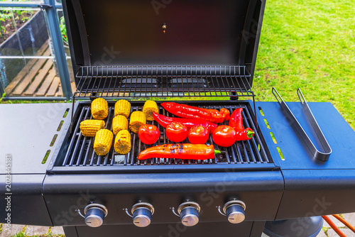 Close-up view of vegetables grilling on hot gas barbecue grill outdoors. Sweden.