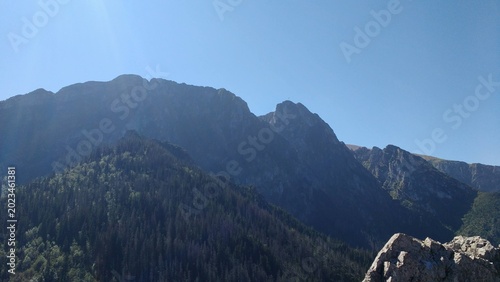Famous Giewont mountain peak with green pine forest in Tatra National Park