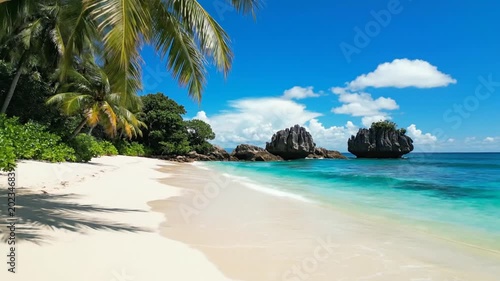 A beautiful tropical beach with white sand and palm trees under a clear blue sky