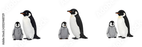 Schilderij op canvas Cute emperor penguin mother with fluffy grey chick set isolated on white backgro