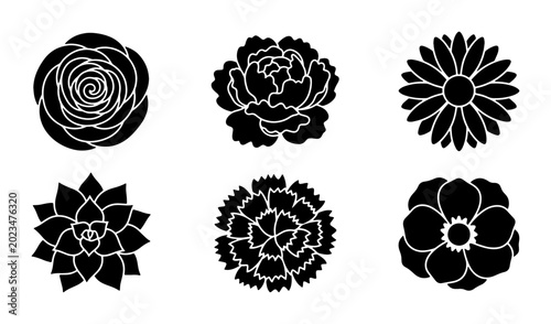 Photos Set of 6 Black Floral Silhouettes, Vector Flower Icons for Design, Botanical Ele