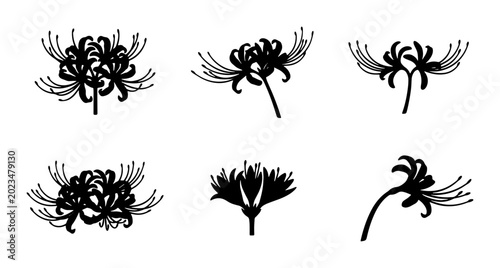 Tableau sur toile Black Silhouette Lycoris Radiata Flowers, Spider Lily Vector Illustrations, Eleg