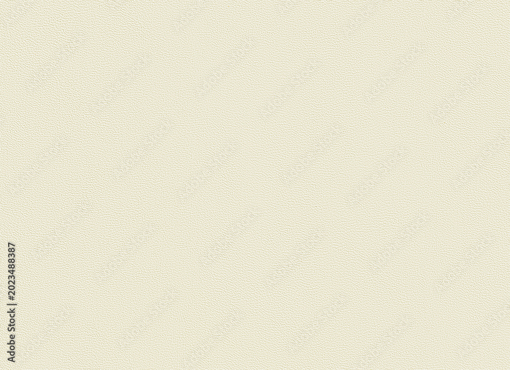 Fototapeta premium Off-white textured leather background