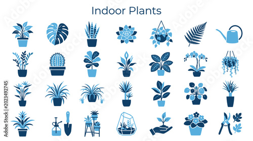 Cuadro en lienzo Collection of indoor plants and gardening tools, diverse botanical illustrations