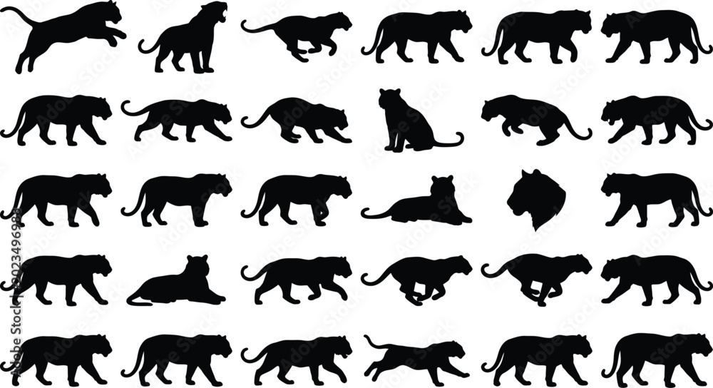 Fototapeta premium Black Panther Silhouettes, Leopard Icons, Wild Animal Graphics, Vector Set of 30