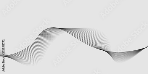 Elegant abstract design featuring monochrome wavy fine lines intertwined against a white background. vector