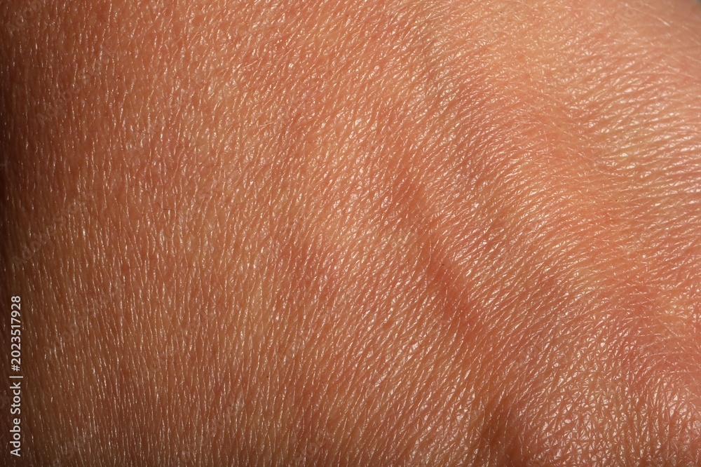 Fototapeta premium Texture of normal skin as background, closeup