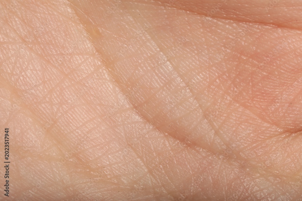 Fototapeta premium Texture of normal skin as background, closeup