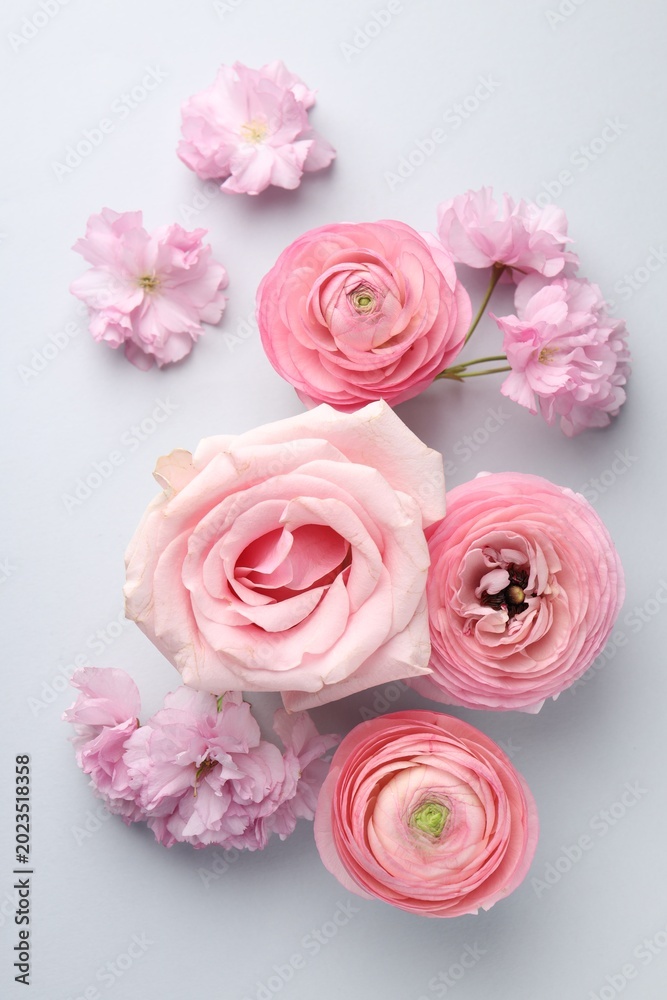 Fototapeta premium Beautiful flowers on light background, flat lay