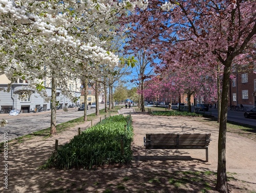Historic Copenhagen Downtown, Denmark - May 2026