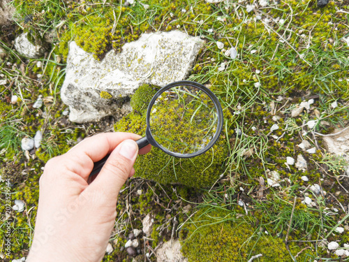 Curious hand holding magnifying glass above green moss, grass, stones ground in forest environment, exploring tiny natural details, ecology research, biodiversity discovery concept