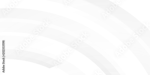 Картината върху платно Abstract light gray lines polygon modern tech minimal concept with white backgro
