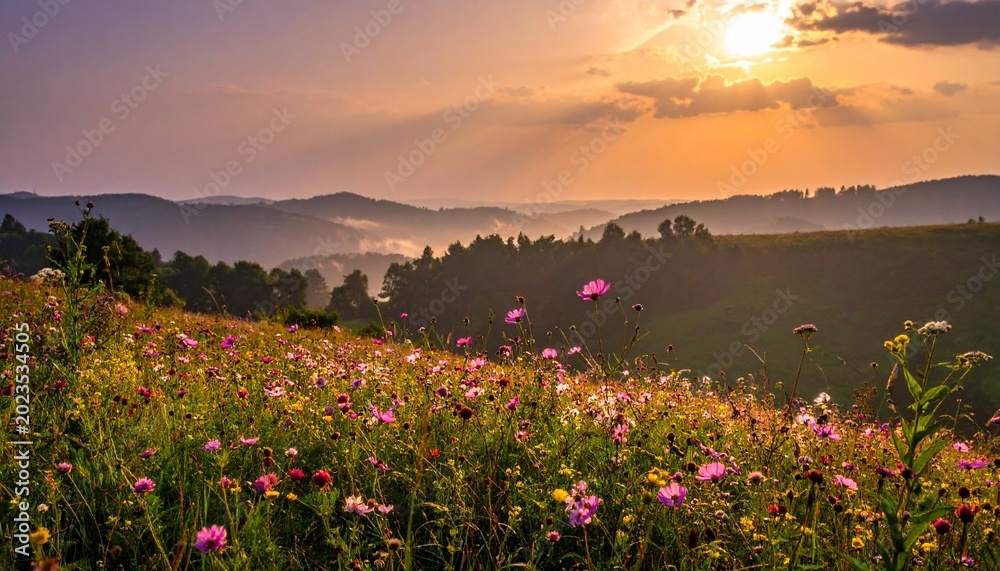 Fototapeta premium sunset in the mountains