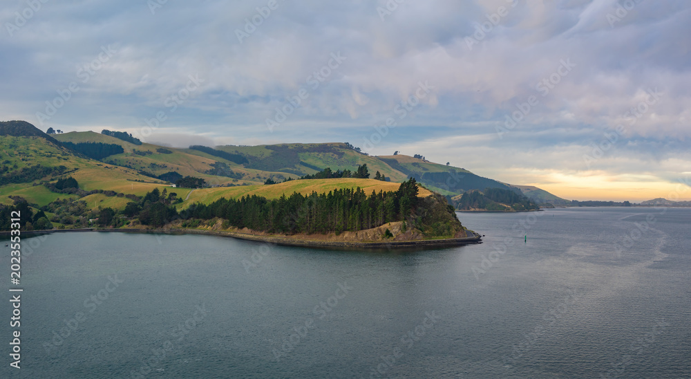Obraz premium Breathtaking views of the Otago Peninsula, Dunedin, Otago, South Island of New Zealand