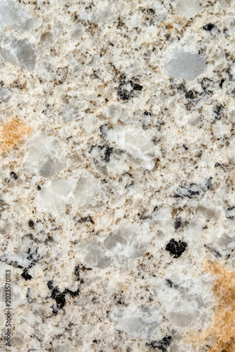 A detailed view of a marble with contrasting white and black colors. vertical frame