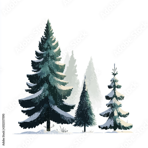 Snow covered evergreen trees stand isolated in a winter nature scene for designs