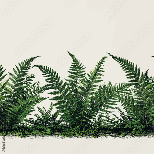 Three cannabis plants are shown growing in stages illustrated side by