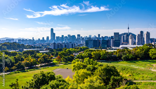 Vibrant Cityscape with Lush Green Park and Blue Sky.