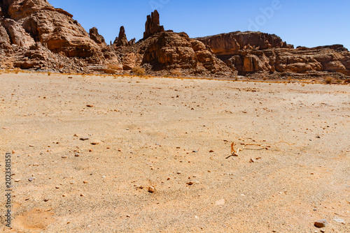 Canvastavla The Sahara Desert